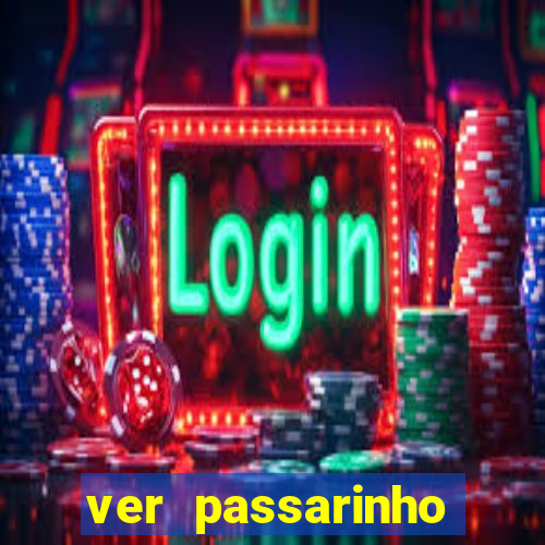 ver passarinho morto significado espiritual